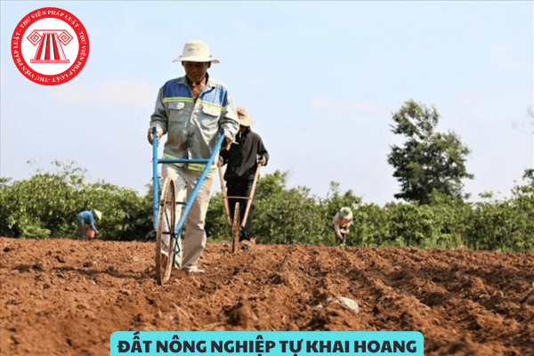 Đang sử dụng đất nông nghiệp tự khai hoang trước 01/7/2014 có được cấp sổ đỏ không?