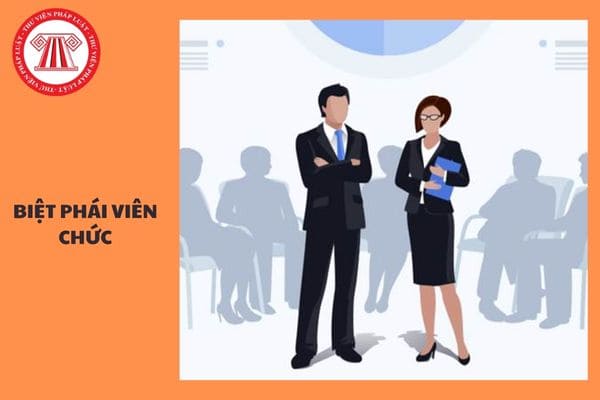 Ai có thẩm quyền biệt phái viên chức? Trình tự, thủ tục biệt phái viên chức như thế nào?