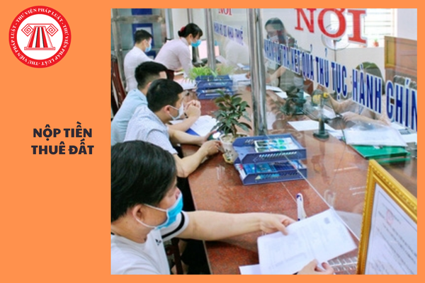 Năm nộp tiền thuê đất được tính từ ngày nào? Việc nộp tiền thuê đất được quy định như thế nào?