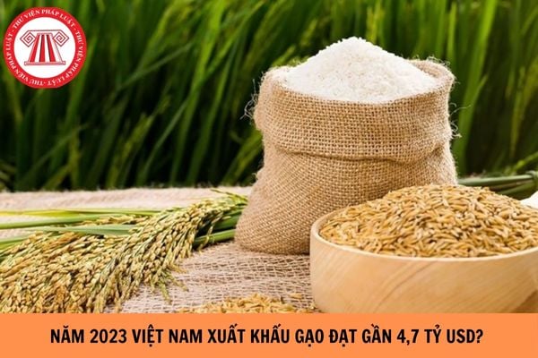 Năm 2023 xuất khẩu gạo đạt gần 4,7 tỷ USD?