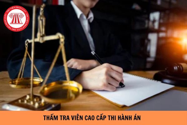 https://cdn.thuvienphapluat.vn/uploads/Hoidapphapluat/2024/NTKL/05062024/tham-tra-vien-cao-cap-thi-hanh-an.jpg