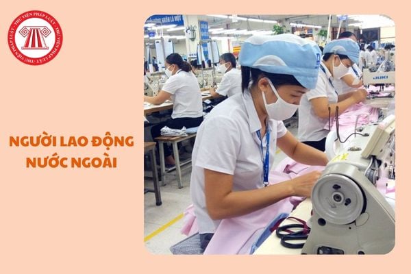 https://cdn.thuvienphapluat.vn/uploads/Hoidapphapluat/2024/NTKL/05122024/nguoi-lao-dong-nuoc-ngoai.jpg