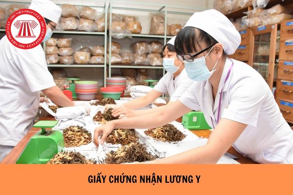 https://cdn.thuvienphapluat.vn/uploads/Hoidapphapluat/2024/NTKL/07062024/giay-chung-nhan-luong-y.jpg