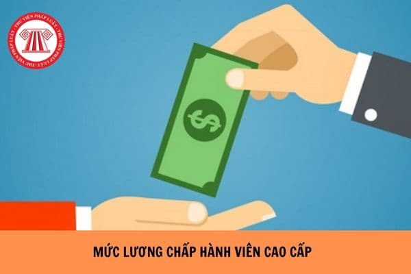 https://cdn.thuvienphapluat.vn/uploads/Hoidapphapluat/2024/NTKL/08062024/muc-luong-chap-hanh-vien-cao-cap%20(1).jpg