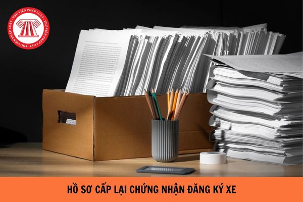 https://cdn.thuvienphapluat.vn/uploads/Hoidapphapluat/2024/NTKL/09042024/ho-so-cap-lai-chung-nhan-dang-ky-xe.jpg