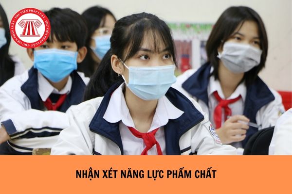 https://cdn.thuvienphapluat.vn/uploads/Hoidapphapluat/2024/NTKL/11052024/nhan-xet-nang-luc-pham-chat.jpg