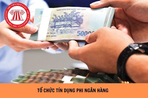 https://cdn.thuvienphapluat.vn/uploads/Hoidapphapluat/2024/NTKL/11072024/to-chuc-tin-dung-phi-ngan-hang%20(2).jpg