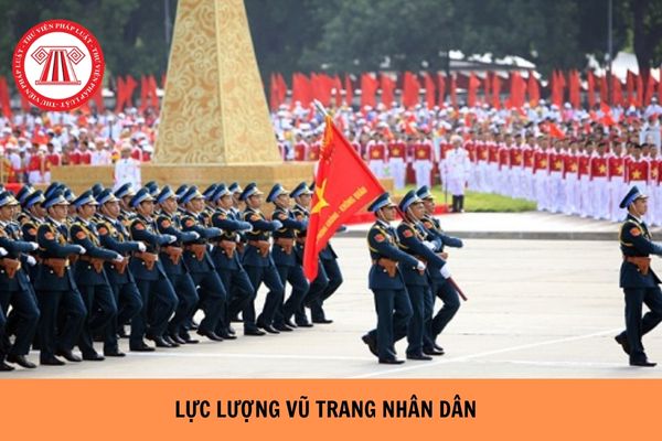 https://cdn.thuvienphapluat.vn/uploads/Hoidapphapluat/2024/NTKL/12062024/luc-luong-vu-trang-nhan-dan.jpg
