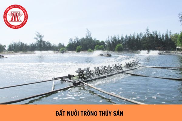 https://cdn.thuvienphapluat.vn/uploads/Hoidapphapluat/2024/NTKL/12082024/dat-nuoi-trong-thuy-san%20(2).jpg