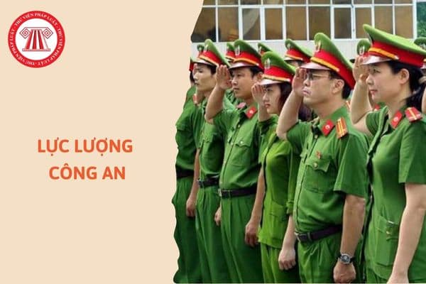 https://cdn.thuvienphapluat.vn/uploads/Hoidapphapluat/2024/NTKL/13092024/luc-luong-cong-an%20(1).jpg