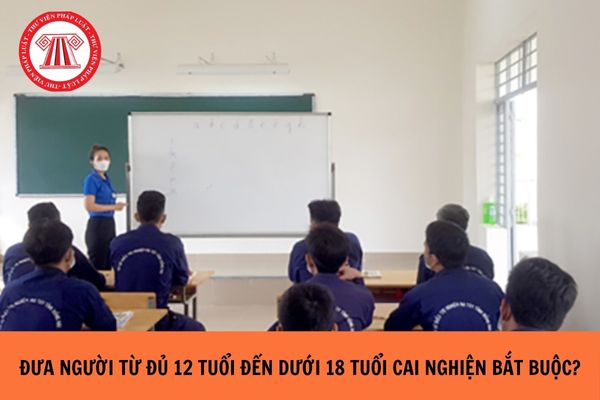 Thủ tục đưa người đi cai nghiện bắt buộc đối với người từ đủ 12 tuổi đến dưới 18 tuổi năm 2024?