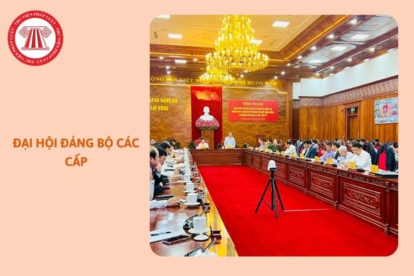 https://cdn.thuvienphapluat.vn/uploads/Hoidapphapluat/2024/NTKL/14112024/dai-hoi-dang-bo-cac-cap.jpg