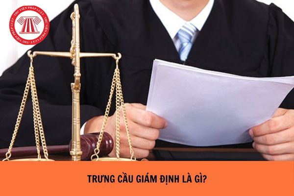 Trưng cầu giám định trong tố tụng hình sự là gì? Ai có quyền yêu cầu trưng cầu giám định trong tố tụng hình sự?