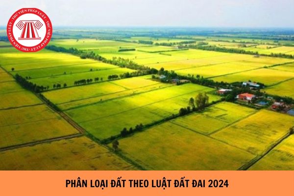 Phân loại đất theo quy định của Luật Đất đai 2024? 