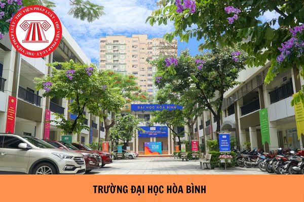 https://cdn.thuvienphapluat.vn/uploads/Hoidapphapluat/2024/NTKL/18072024/hoa-binh.jpg