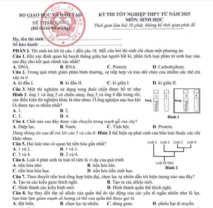 https://cdn.thuvienphapluat.vn/uploads/Hoidapphapluat/2024/NTKL/18102024/mon-sinh.png