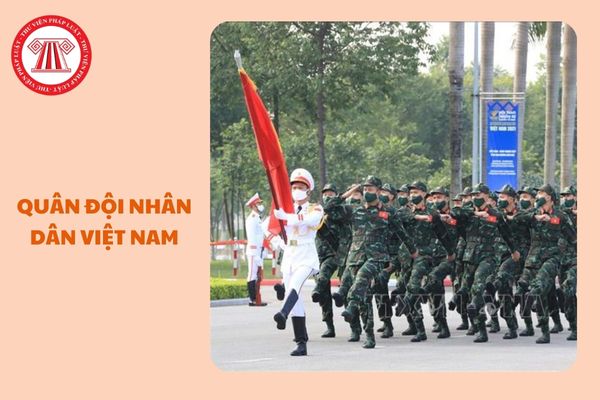 https://cdn.thuvienphapluat.vn/uploads/Hoidapphapluat/2024/NTKL/18122024/quan-doi-nhan-dan-viet-nam%20(2).jpg