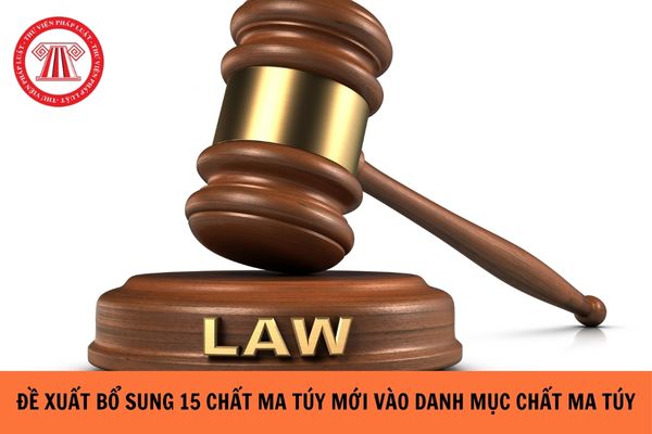 https://cdn.thuvienphapluat.vn/uploads/Hoidapphapluat/2024/NTKL/19042024/de-xuat-bo-dung.jpg