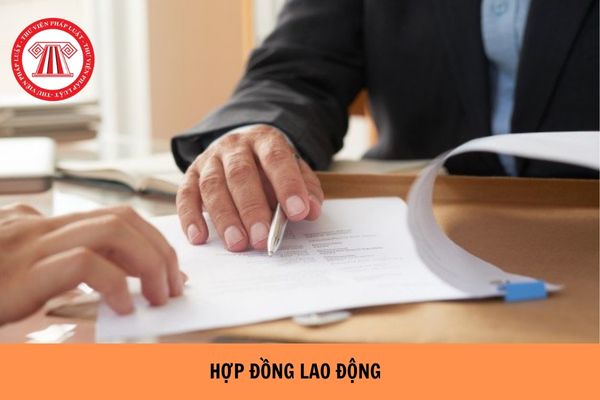https://cdn.thuvienphapluat.vn/uploads/Hoidapphapluat/2024/NTKL/19062024/hop-dong-lao-dong%20(2).jpg