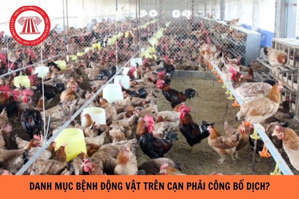 Danh mục bệnh động vật trên cạn phải công bố dịch năm 2024?