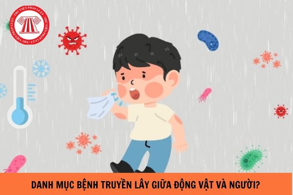 Danh mục bệnh truyền lây giữa động vật và người năm 2024?