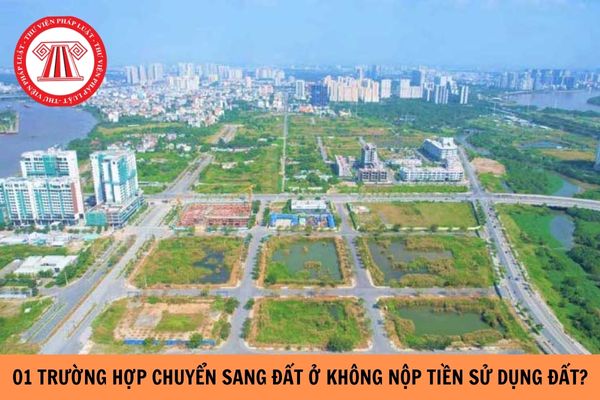 Luật Đất đai 2024: Có 01 trường hợp chuyển sang đất ở không phải nộp tiền sử dụng đất?