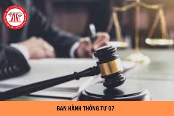 https://cdn.thuvienphapluat.vn/uploads/Hoidapphapluat/2024/NTKL/24062024/ban-hanh-thong-tu-07%20(1).jpg