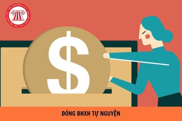 Hướng dẫn đăng ký đóng bảo hiểm xã hội tự nguyện online năm 2024?