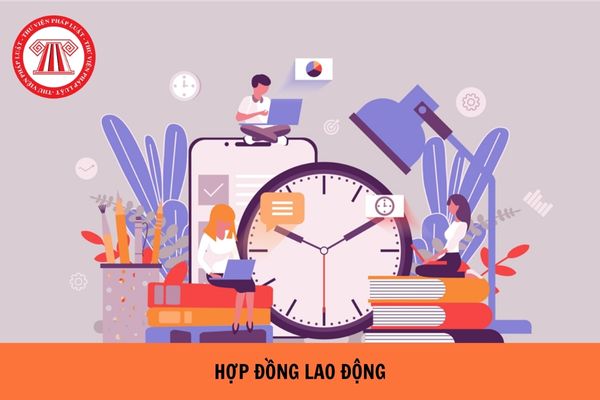https://cdn.thuvienphapluat.vn/uploads/Hoidapphapluat/2024/NTKL/25042024/hop-dong-lao-dong.jpg