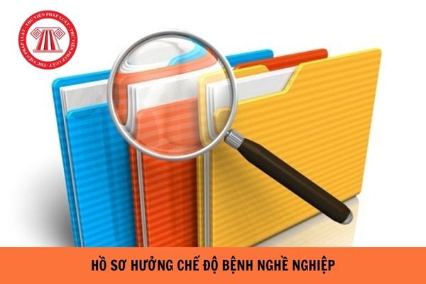 Năm 2024 hồ sơ hưởng chế độ bệnh nghề nghiệp gồm những gì?