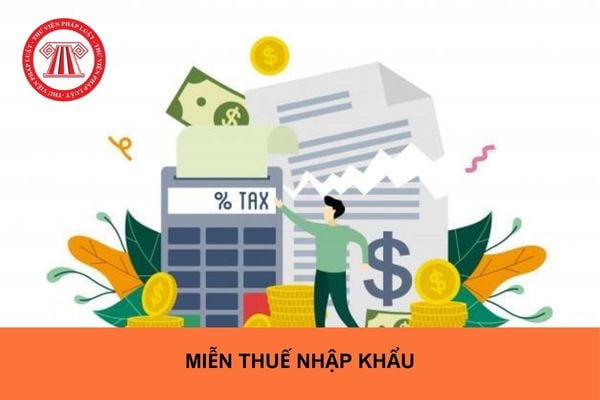 Hàng hóa không nhằm mục đích thương mại được miễn thuế nhập khẩu trong trường hợp nào?