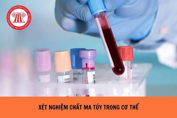 Việc xét nghiệm chất ma túy trong cơ thể được thực hiện đối với trường hợp nào?