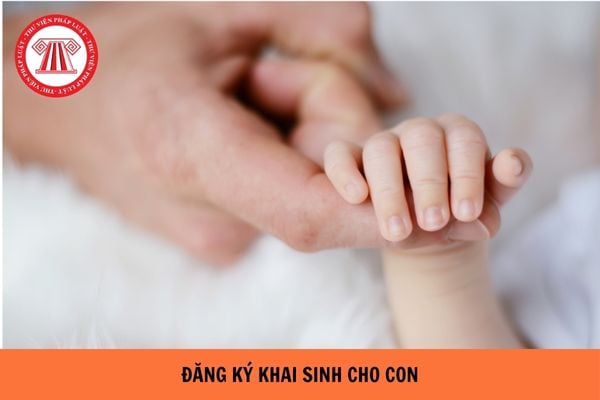 Hỏi đáp Pháp luật