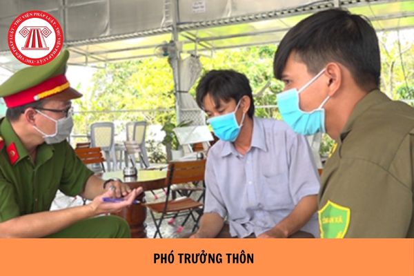 https://cdn.thuvienphapluat.vn/uploads/Hoidapphapluat/2024/NTKL/29082024/pho-truong-thon.jpg