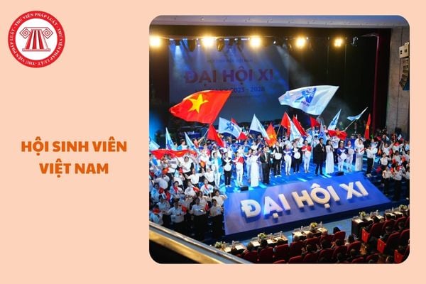 https://cdn.thuvienphapluat.vn/uploads/Hoidapphapluat/2024/NTKL/30122024/hoi-sinh-vien-viet-nam.jpg