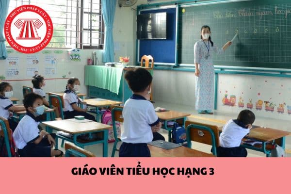 Giáo viên tiểu học hạng 3 có bắt buộc phải có chứng chỉ bồi dưỡng tiêu chuẩn chức danh nghề nghiệp giáo viên tiểu học?