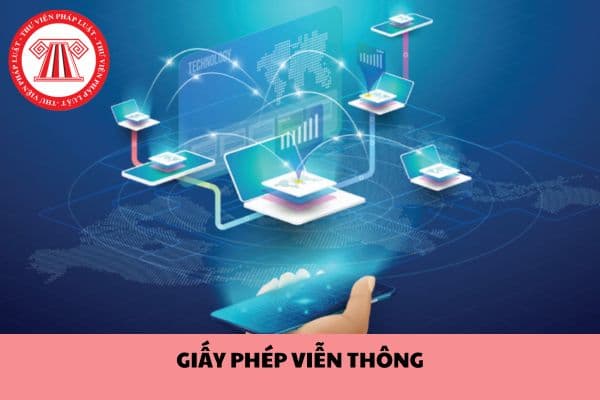 Năm 2024, Giấy phép viễn thông gồm mấy loại? Hình thức cấp giấy phép viễn thông là gì?