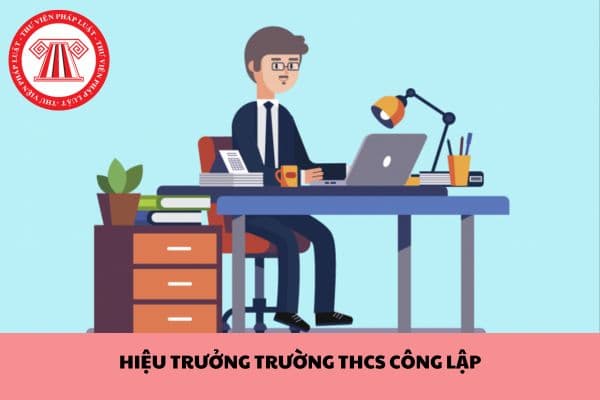 Yêu cầu về trình độ đào tạo của Hiệu trưởng trường THCS công lập được quy định ra sao?