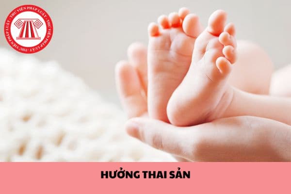 Lao động nước ngoài ở Việt Nam có được hưởng chế độ thai sản không?
