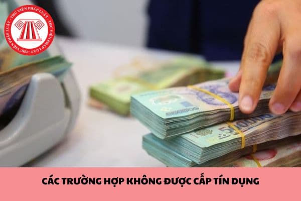 Những ai sẽ không được cấp tín dụng từ 01/7/2024?