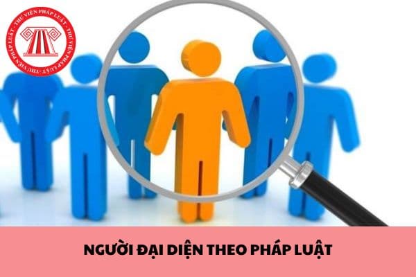 Thay đổi người đại diện theo pháp luật trong công ty trách nhiệm hữu hạn hai thành viên trở lên cần giấy tờ gì?