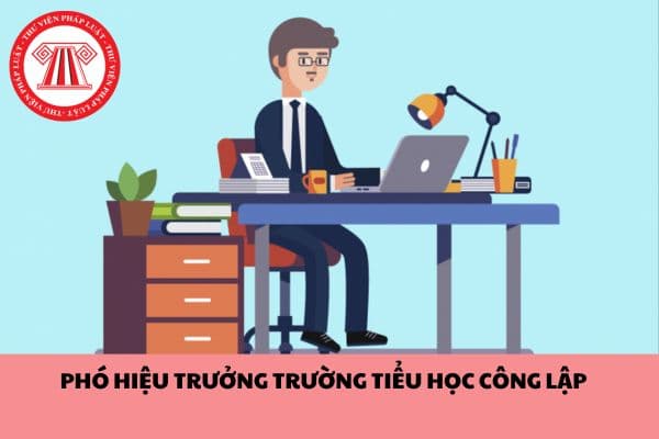 Điều kiện về tuổi để được bổ nhiệm làm phó Hiệu trưởng trường tiểu học công lập?