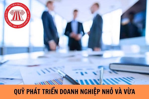 Quỹ Phát triển doanh nghiệp nhỏ và vừa là gì? Nguyên tắc, mục tiêu hoạt động của Quỹ Phát triển doanh nghiệp nhỏ và vừa là gì?