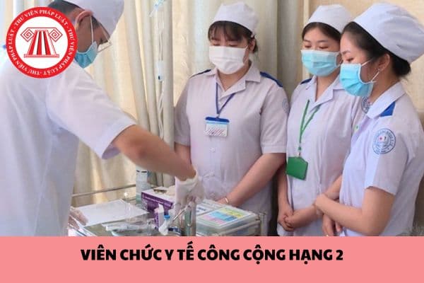 Tiêu chuẩn về trình độ đào tạo, bồi dưỡng của viên chức y tế công cộng hạng 2?