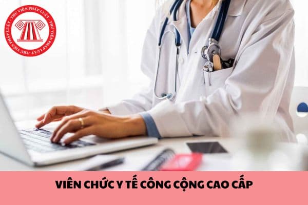 Tiêu chuẩn về trình độ đào tạo, bồi dưỡng của viên chức y tế công cộng cao cấp?