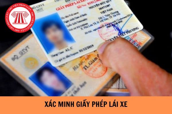 Quy định về xác minh giấy phép lái xe từ ngày 01/6/2024 như thế nào?