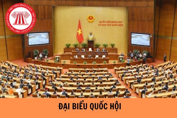 Bãi nhiệm đại biểu Quốc hội khi nào? Trình tự bãi nhiệm đại biểu Quốc hội như thế nào?