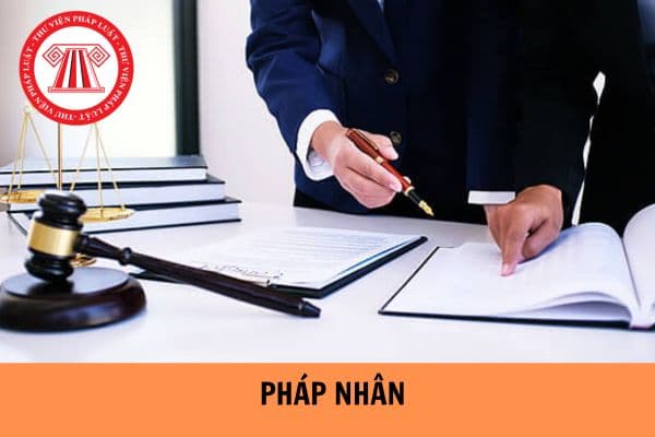 Pháp nhân là gì? Các loại hình doanh nghiệp nào có tư cách pháp nhân?