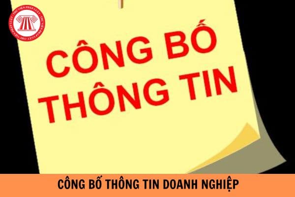 Doanh nghiệp nhà nước công bố thông tin doanh nghiệp thông qua các hình thức nào?