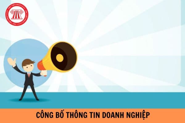 Cổng thông tin doanh nghiệp là gì? Doanh nghiệp nhà nước định kỳ phải công bố các thông tin gì?